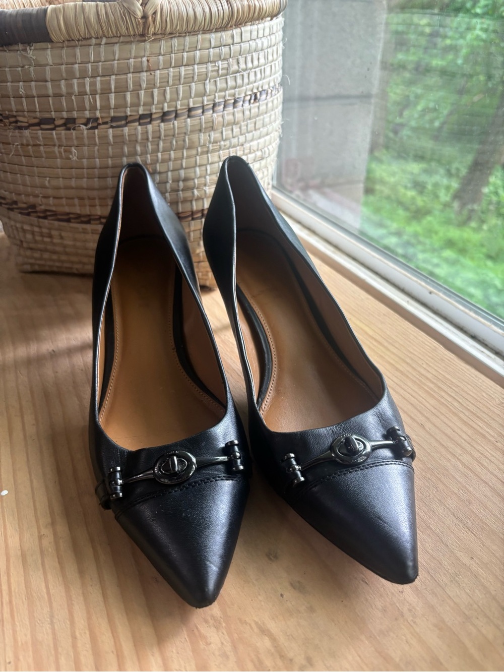 Coach Black Leather Pointed-Toe Heels with Signature Metal Bit